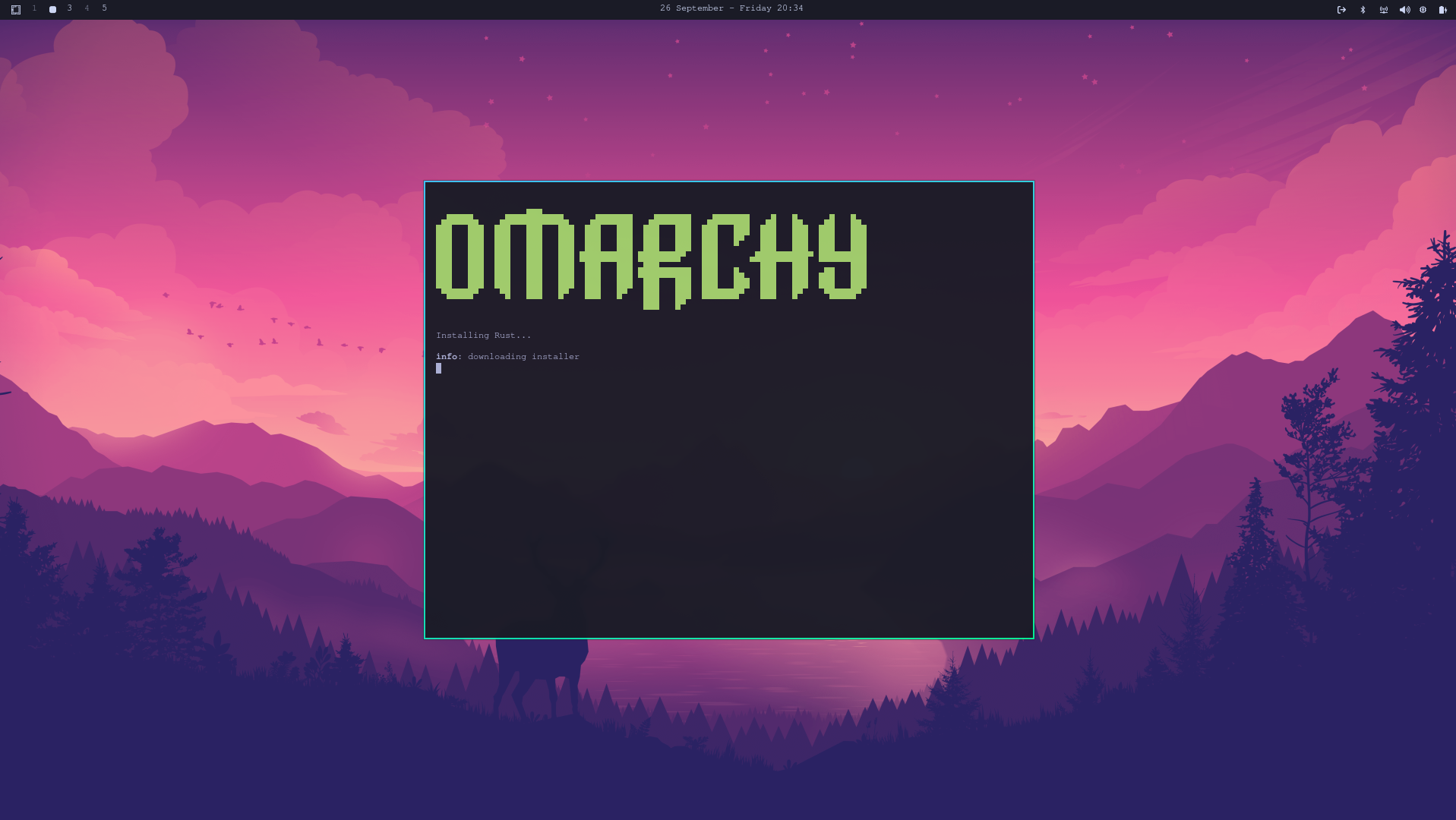 Omarchy installing rust